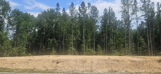 Lot 1 County Line Rd SW, Mitchell, GA 30820