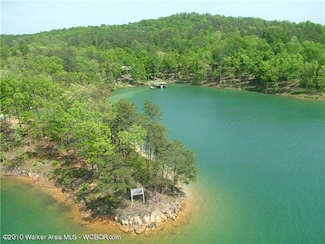 LOT # 24 Sandpiper St, Arley, AL 35541