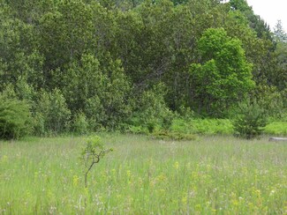0 Dunham Rd Unit 1.47 acres, Vanderbilt, MI 49795