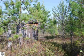 0 S Barlow Rd Unit 1828817, Greenbush, MI 48738
