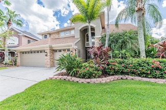 11670 Renaissance View Ct, Tampa, FL 33626