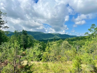 667 Laurel Thicket Ln, Brevard, NC 28712