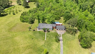 390 Chamblee Ln, Warrior, AL 35180