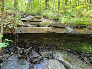 0 Scott Hwy Unit 24409464, Helenwood, TN 37755