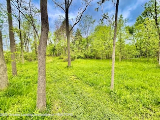 0 Lot B Willow, Lansing, MI 48917