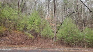 Lot 14 Peace Ln, Sevierville, TN