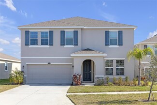 10944 Delta Huff Ct, San Antonio, FL 33576