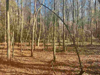 00 Deer Brook Dr, Sheridan, AR 72150