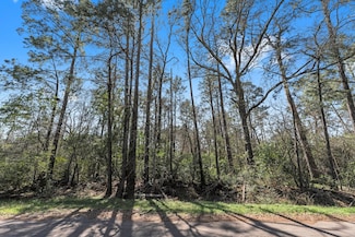 0 Hunters Unit 30622943, New Caney, TX 77357