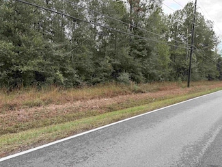 Tract A-1 Rufus Bankston Rd, Hammond, LA 70401