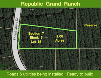 15334 Forest Grove Dr, Willis, TX 77378