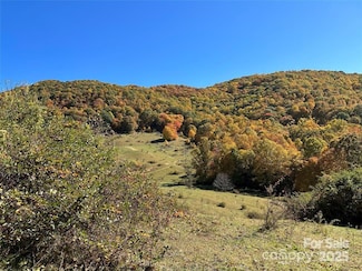 5 Hidden Valley Rd, Clyde, NC 28721