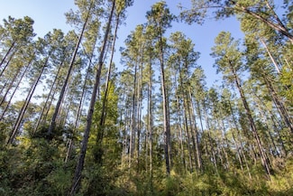 XX1 Boswell Rd, Bonifay, FL 32425