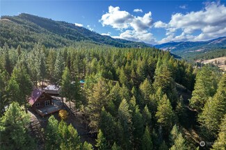 21 S Airstrip Rd, Twisp, WA 98856