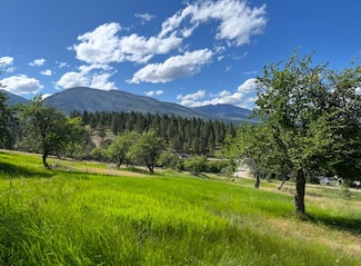 204 Camas Orchard Trail, Hamilton, MT 59840