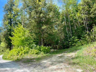 0 Saxie Welch Trail Unit 4912233, Newbury, VT 05051