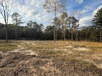 17365 Fm 2089, Overton, TX 75684