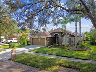 6008 Chellas Ct, Lutz, FL 33558
