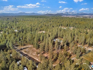 6409 E Valley Ln, Elk, WA 99009