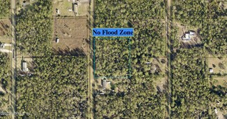 10270 Delgado Ave, Hastings, FL 32145