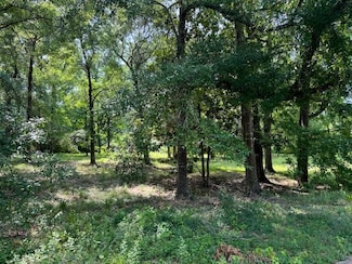 Lot 2 Hunterwood Dr, Jasper, TX 75951