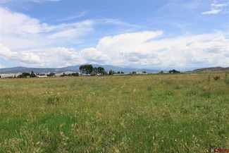 TBD 6600 Rd, Montrose, CO 81401