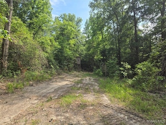 0 Dozier Hwy, Dozier, AL 36028