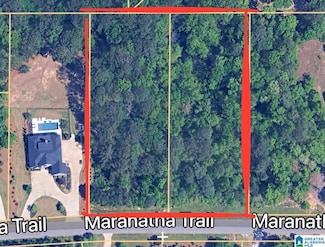 212 & 216 Maranatha Trail Unit 29, Alabaster, AL 35007