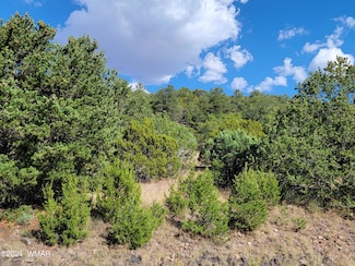 Lot 10 Spruce St, Eagar, AZ 85925