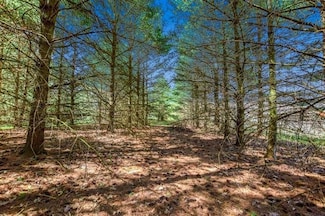 Lot 1 Davis St, Springdale, WI 53593
