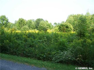 00 Eastwoods Rd, Jerusalem, NY 14527
