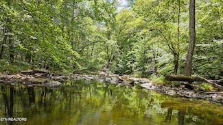 0 Big Spring Rd, Oneida, TN 37841