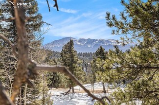 188 Pike View Dr, Divide, CO 80814