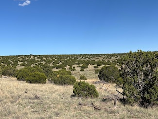 0 Lot 43 Pinon Springs Ranch, Magdalena, NM 87825