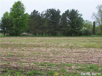 Lot #4 Stump Rd, Skaneateles, NY 13152
