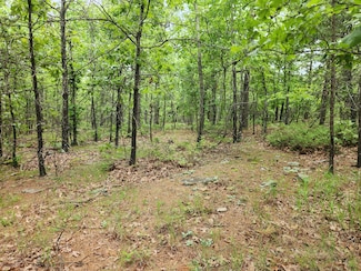 SE 170 Rd, Bengal, OK 74578