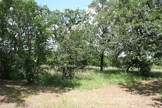 215 Buzbee Rd, Palo Pinto, TX 76484