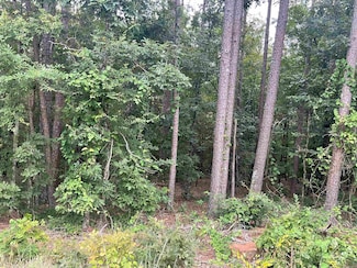 lot 11 Haley, Greers Ferry, AR 72067