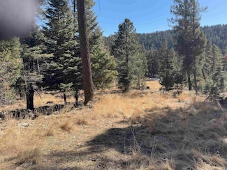 0 Evergreen Ln, Cloudcroft, NM 88317