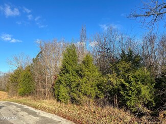 0 Heck Rd, Decatur, TN 37322
