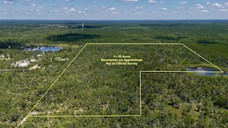 00 Leroy Lyons Rd Unit LotWP001, Perry, FL 32348
