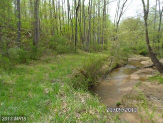 0 Black Hill Rd Unit 1004137136, Rixeyville, VA 22737
