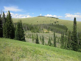 TBD Yankee Jim, White Sulphur Springs, MT 59645