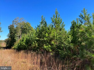 0 Floralee Road (Route 621) (Tract Turnip Creek-4), Phenix, VA 23959