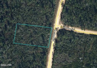 Lot 31 Los Padres Ave, Alford, FL 32420