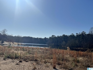33 Tara Lake Dr Unit 1, Columbiana, AL 35051