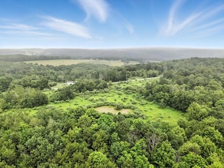 0 Rumsey Rd, Ridgebury Township, PA 18840