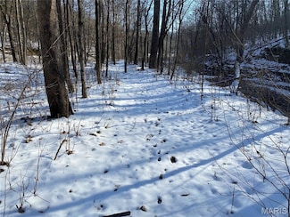 29507 Pinnacle Lake Rd, New Florence, MO 63363