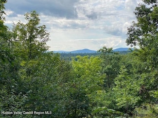 2067 New York 296, Hunter, NY 12442