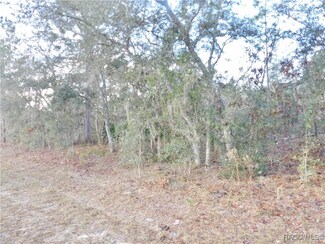6792 N Varsity Ave, Citrus Springs, FL 34434
